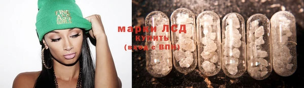 сатива Горнозаводск