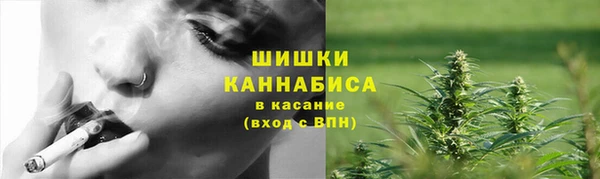 сатива Горнозаводск