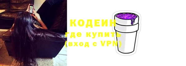 круглые Гусев