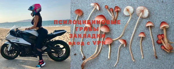 сатива Горнозаводск