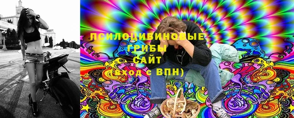 ПСИЛОЦИБИНОВЫЕ ГРИБЫ Гусиноозёрск