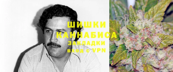 круглые Гусев