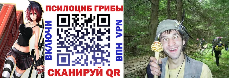 MEGA зеркало Батайск Псилоцибиновые грибы Magic Shrooms